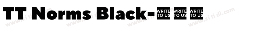 TT Norms Black字体转换